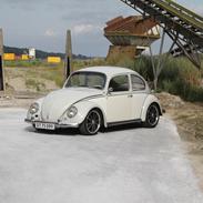 VW Bobbel