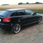 Audi A3 8P Attraction