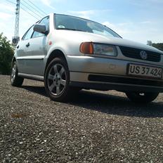 VW Polo 6n ~BetteDora~