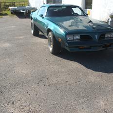 Pontiac trans am