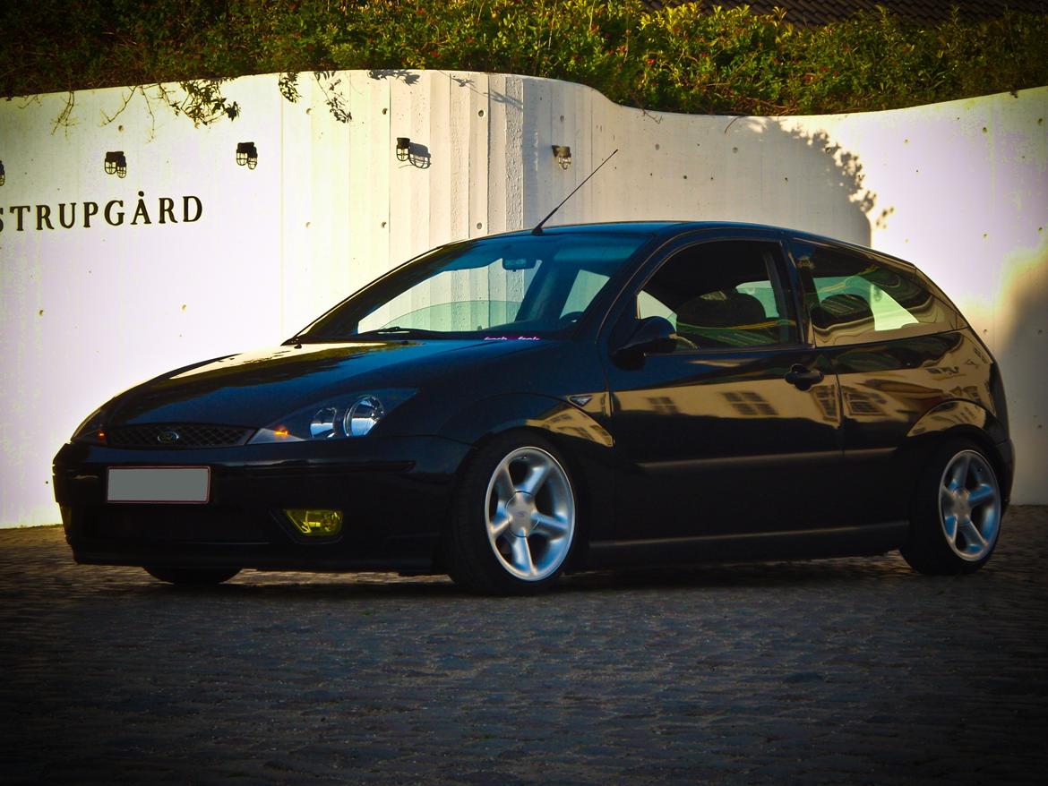 Ford Focus European Lowrider  billede 2