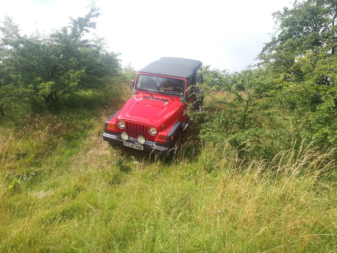 Jeep Wrangler TJ billede 15