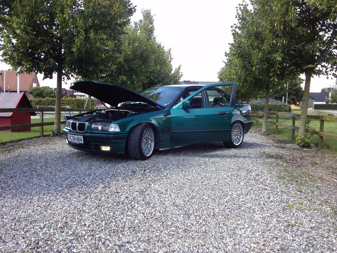 BMW E36 325 billede 10