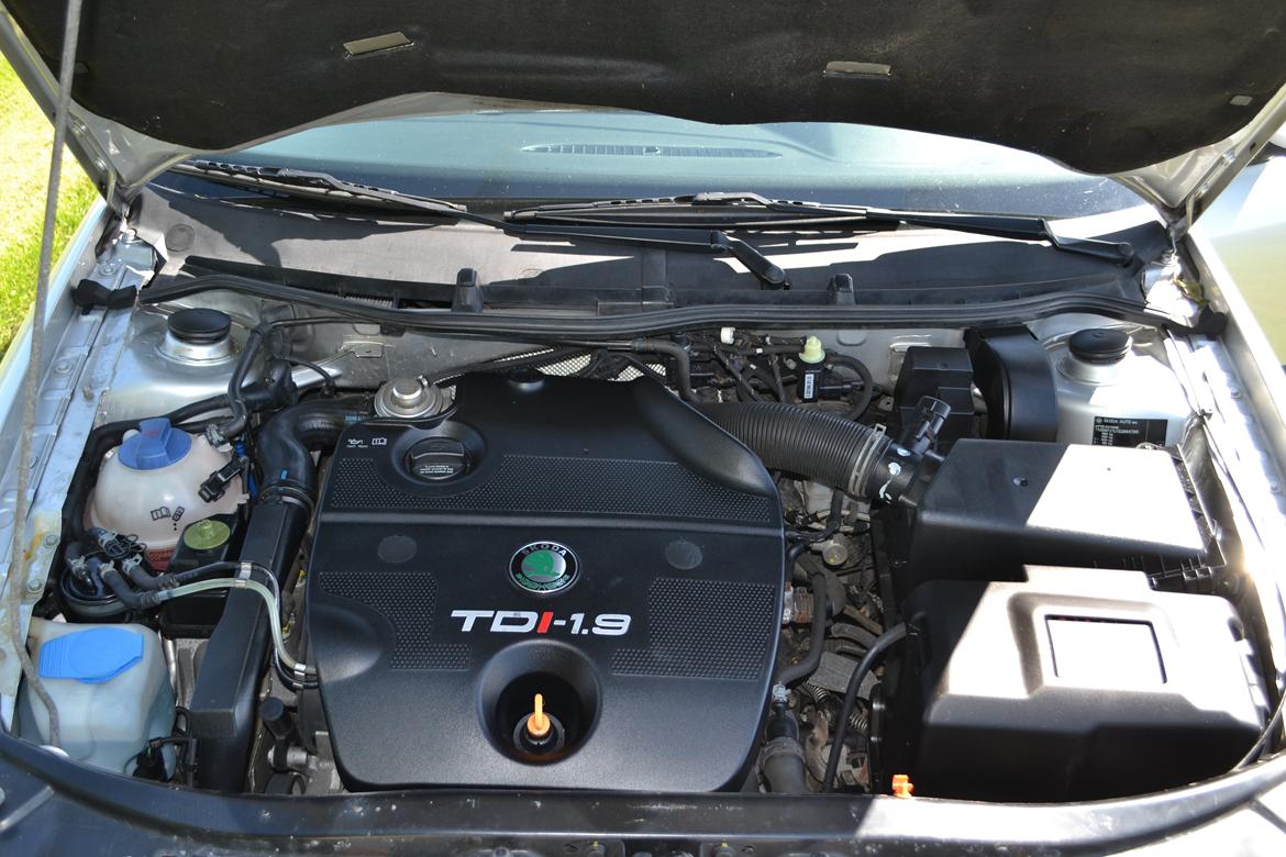 Skoda Octavia 1,9 TDi 110hk Elegance 5d billede 11