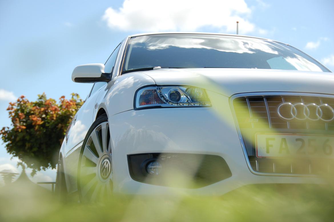 Audi A3 TDI billede 4