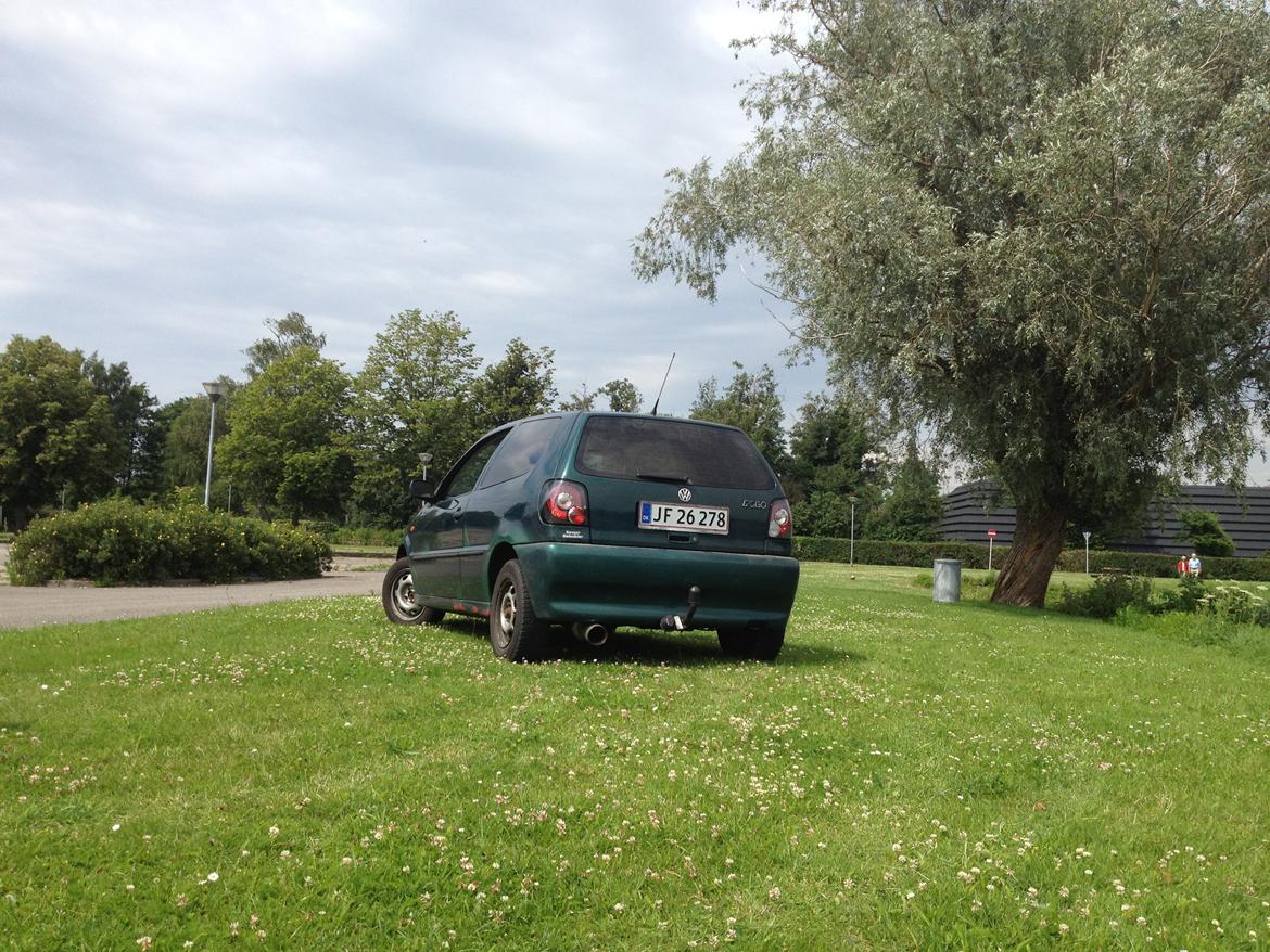 VW Polo 6N billede 5