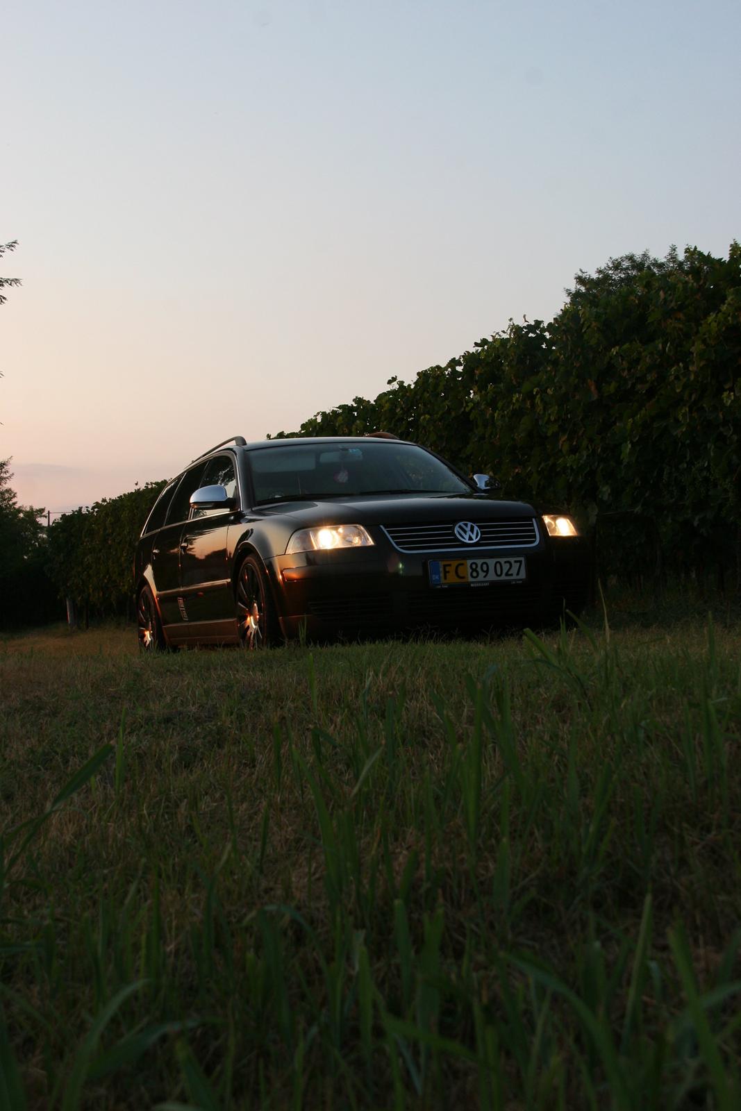 VW Passat 3bg TDI DK - Italien 2012 billede 11