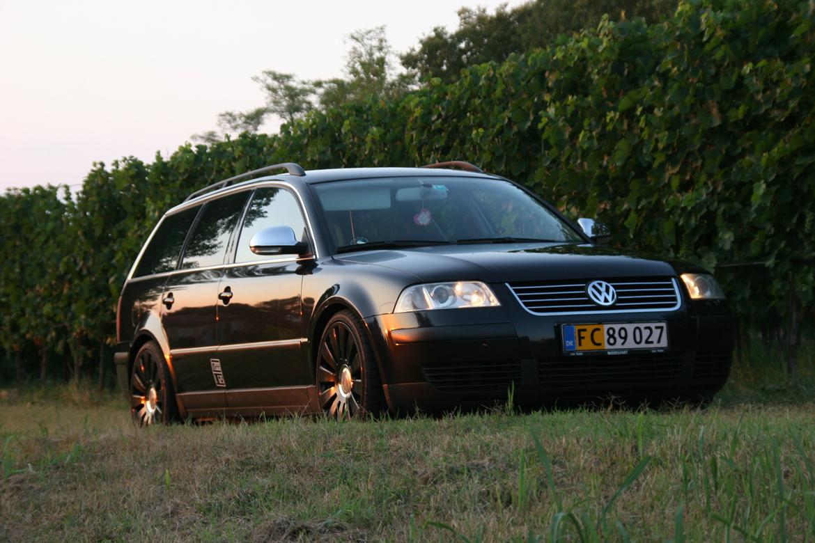 VW Passat 3bg TDI DK - Italien 2012 billede 7