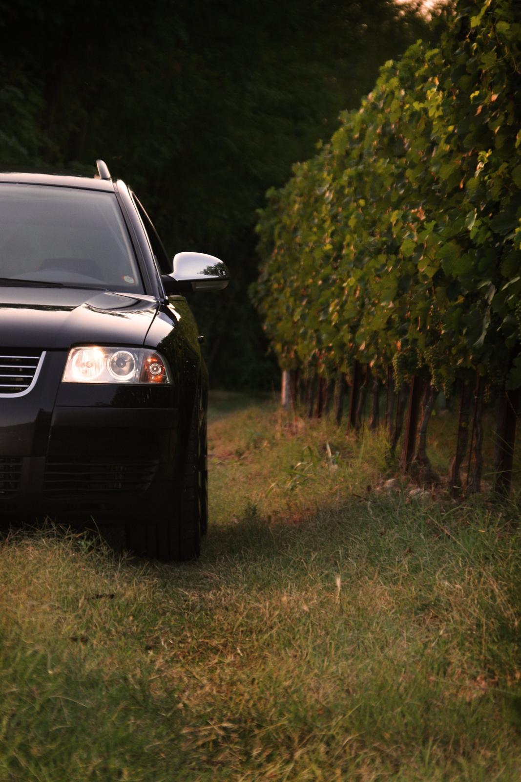 VW Passat 3bg TDI DK - Italien 2012 billede 12