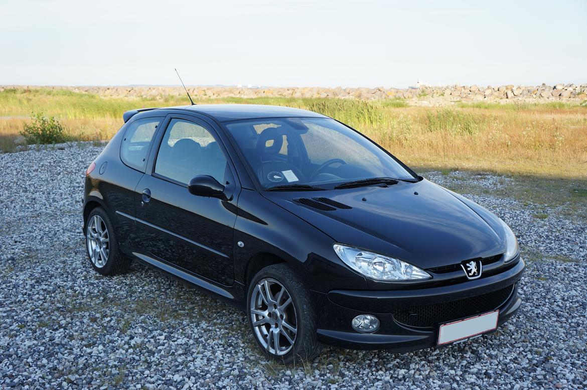 Peugeot 206 Griffe billede 1