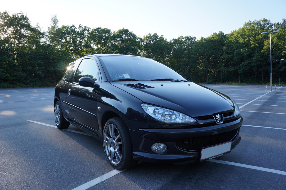 Peugeot 206 Griffe billede 13