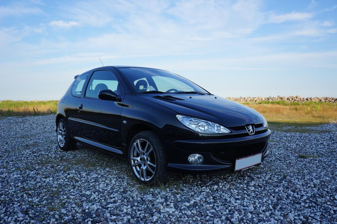 Peugeot 206 Griffe billede 15