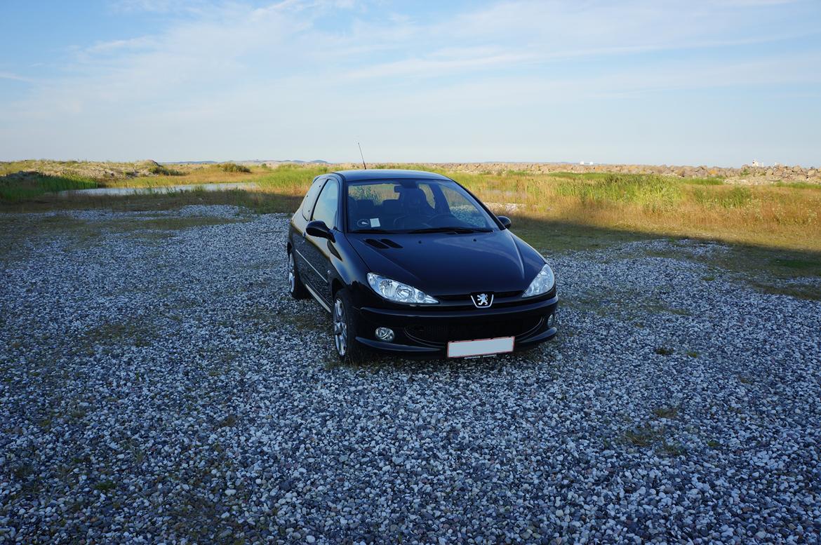 Peugeot 206 Griffe billede 2