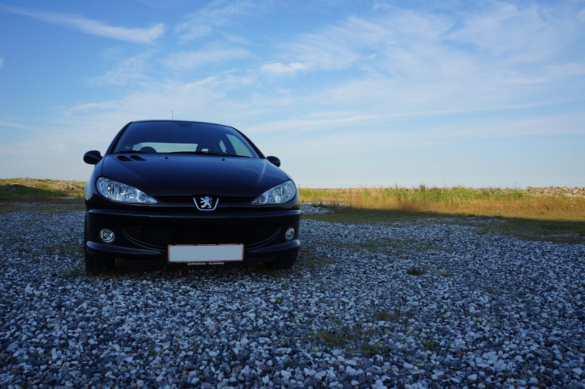 Peugeot 206 Griffe billede 3