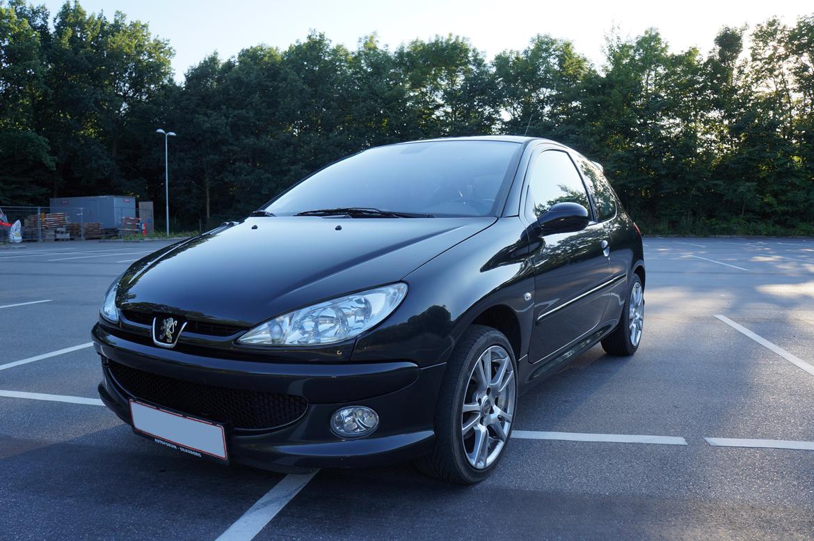 Peugeot 206 Griffe billede 14