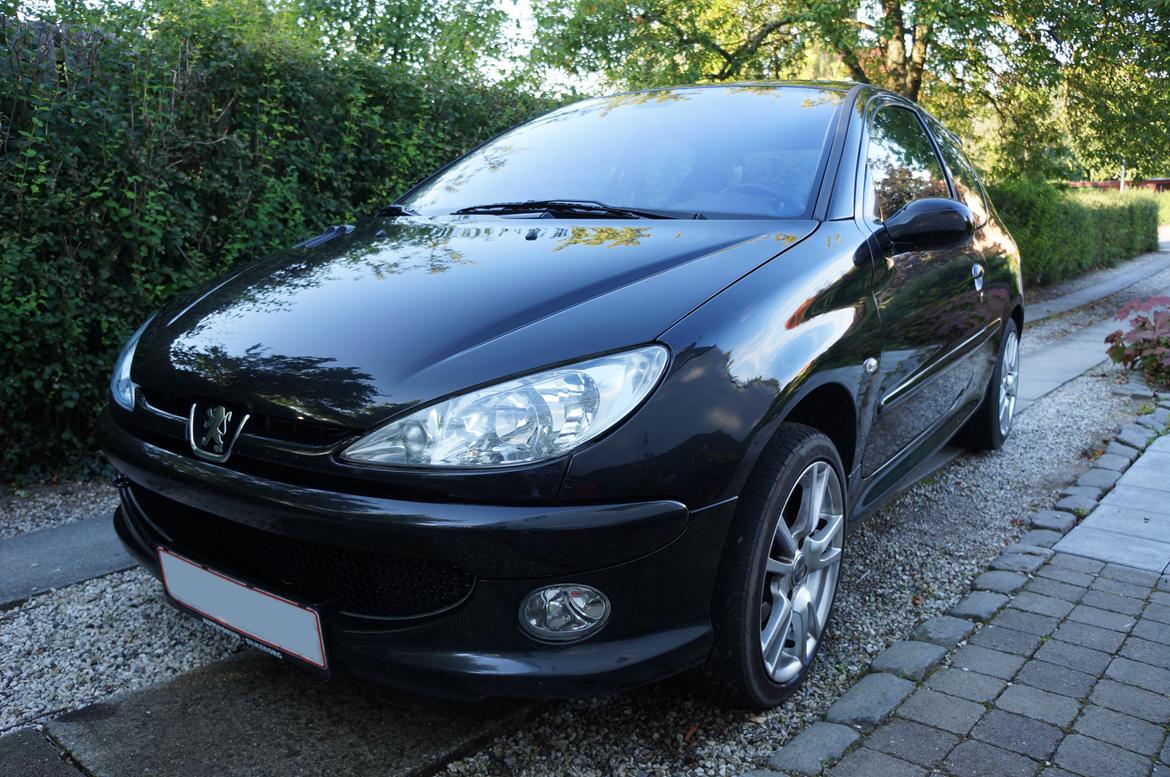 Peugeot 206 Griffe billede 16