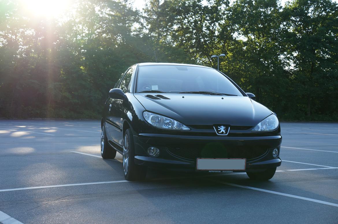 Peugeot 206 Griffe billede 17