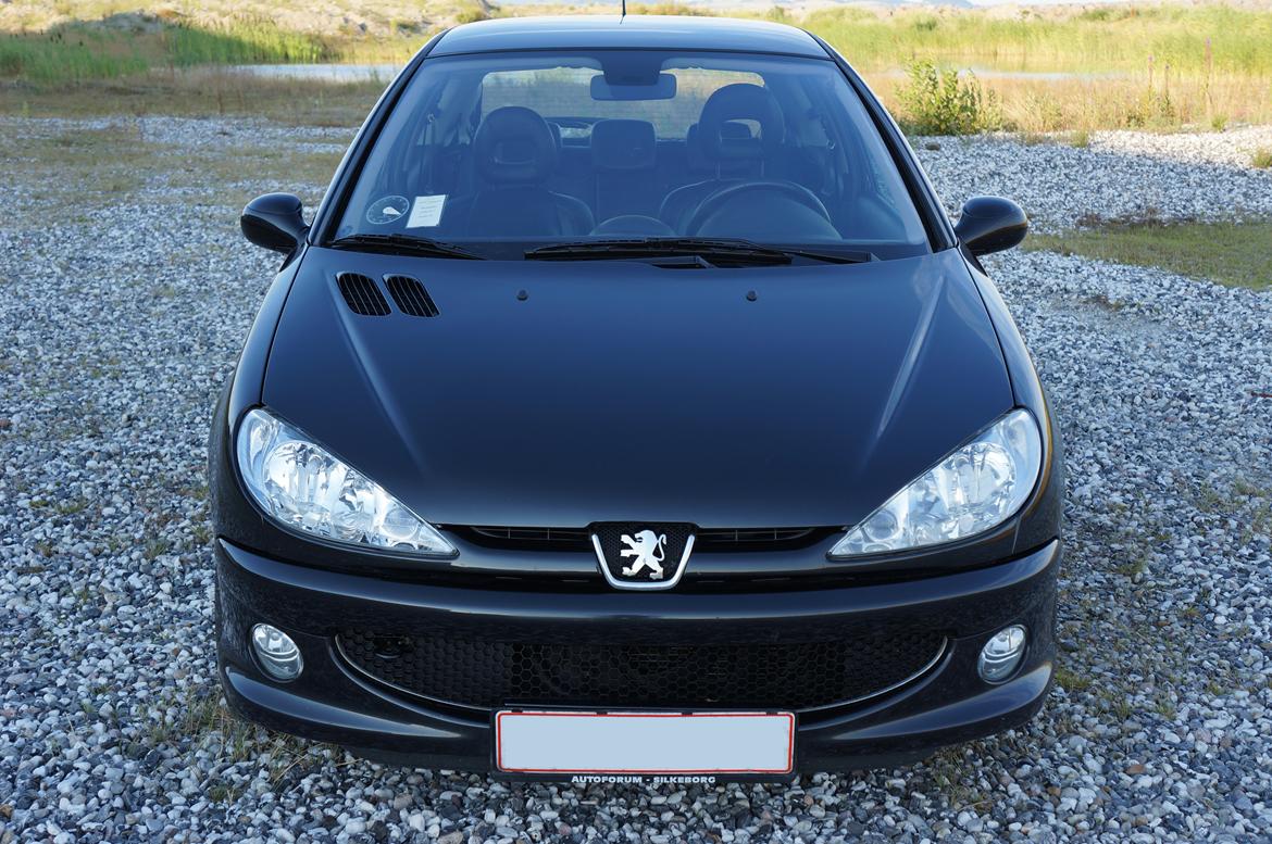 Peugeot 206 Griffe billede 4