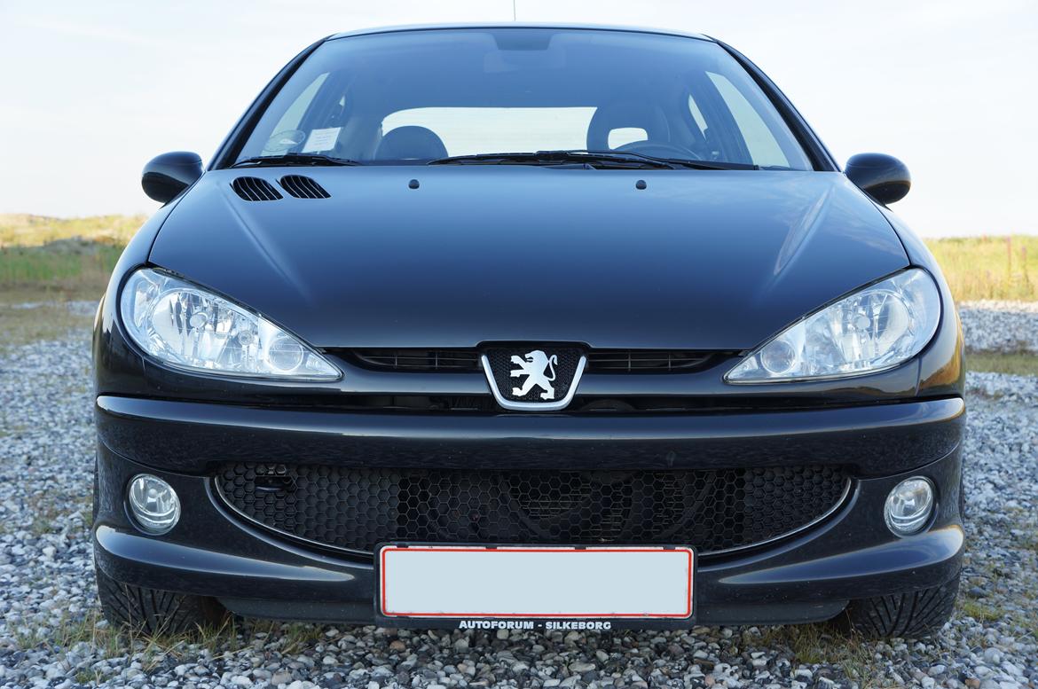 Peugeot 206 Griffe billede 18