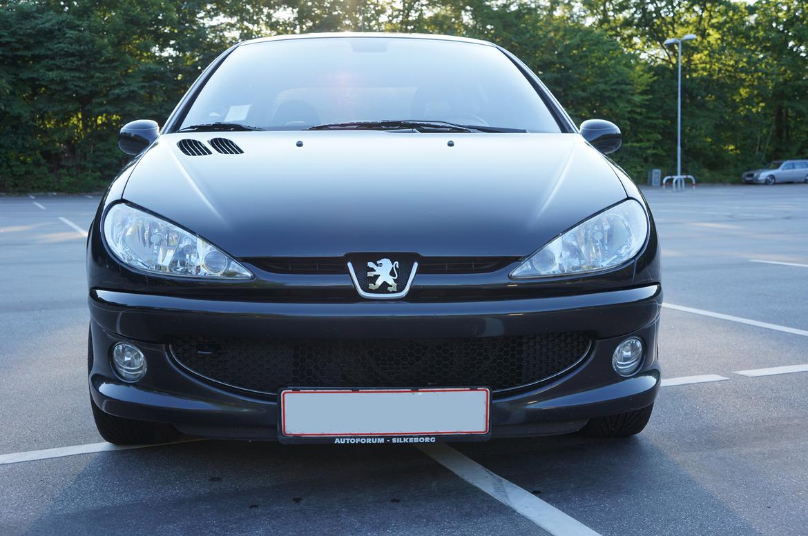 Peugeot 206 Griffe billede 19
