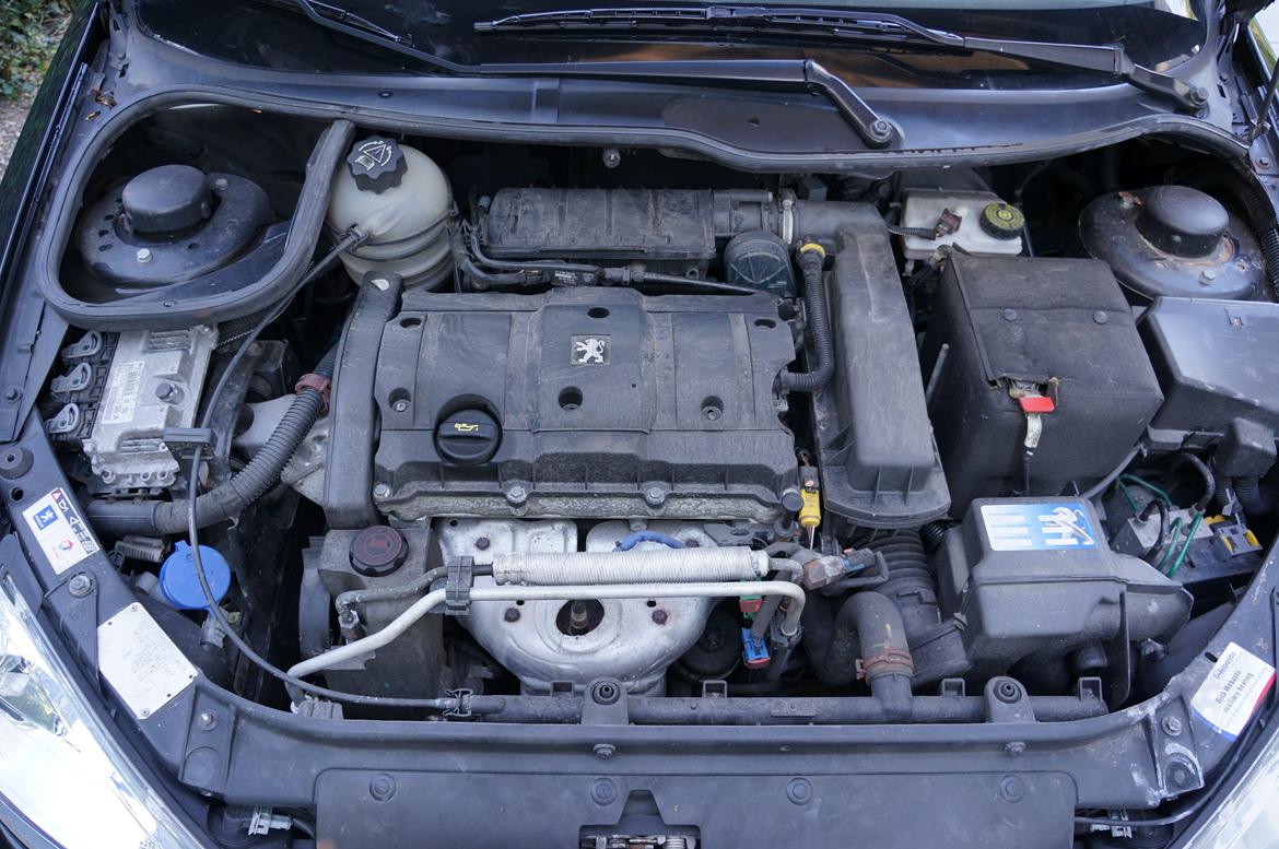 Peugeot 206 Griffe billede 12