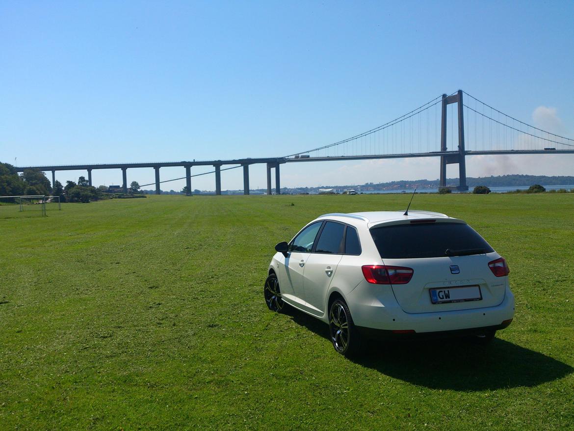 Seat Ibiza 6j COPA STYLE billede 20