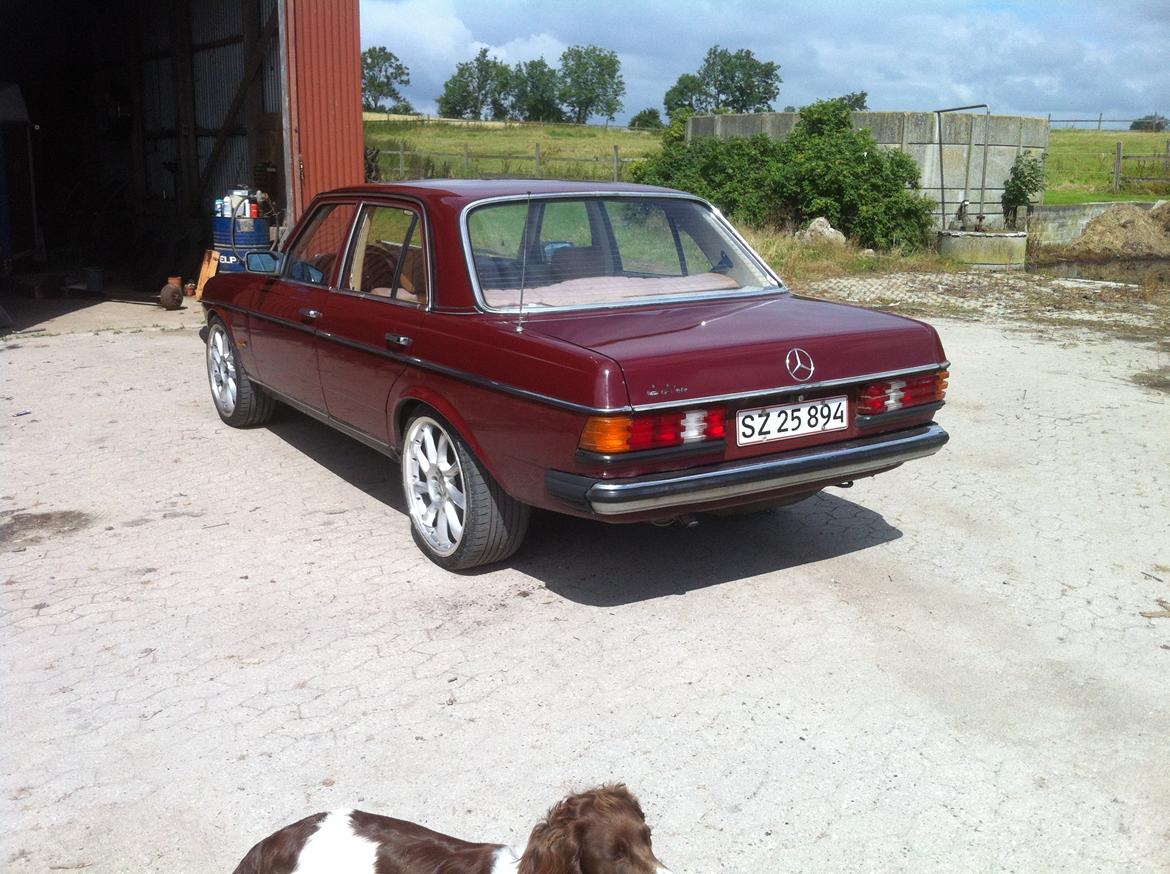 Mercedes Benz 200 W123 billede 2