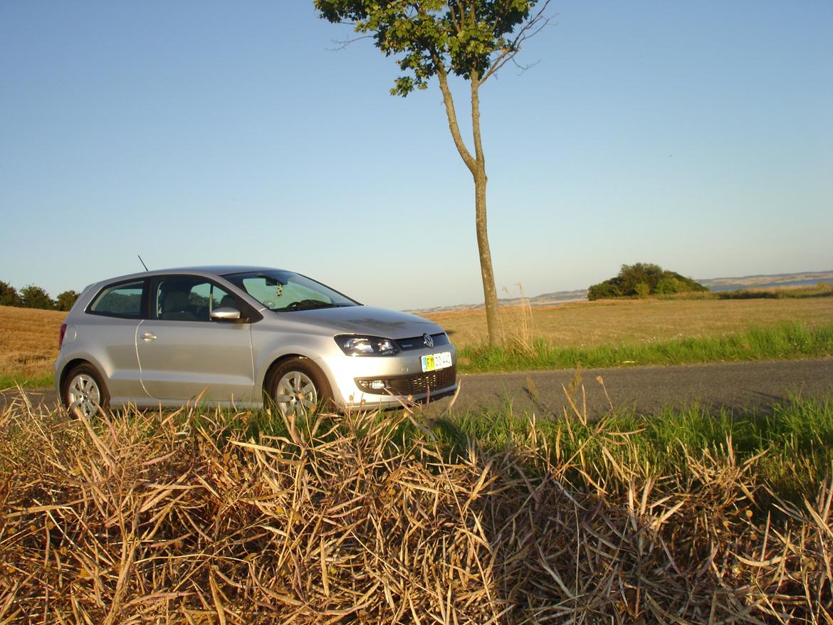 VW Polo (Silver) billede 1