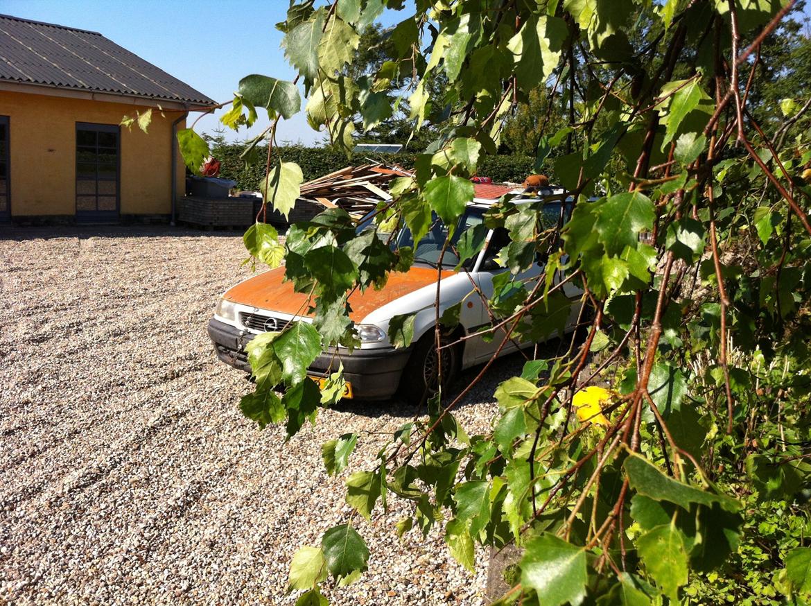 Opel Astra F st.car >>LOWRIDE << billede 13