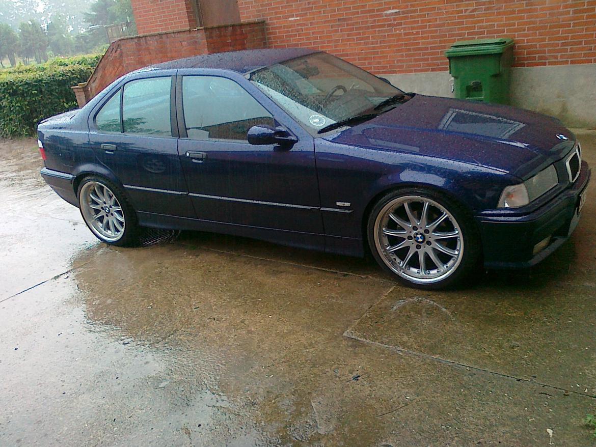 BMW 323i sedan byttet til passat. billede 4