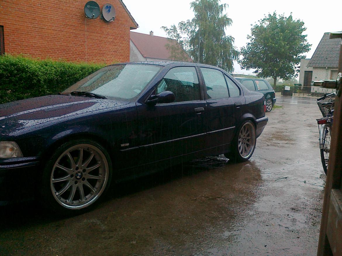 BMW 323i sedan byttet til passat. billede 5