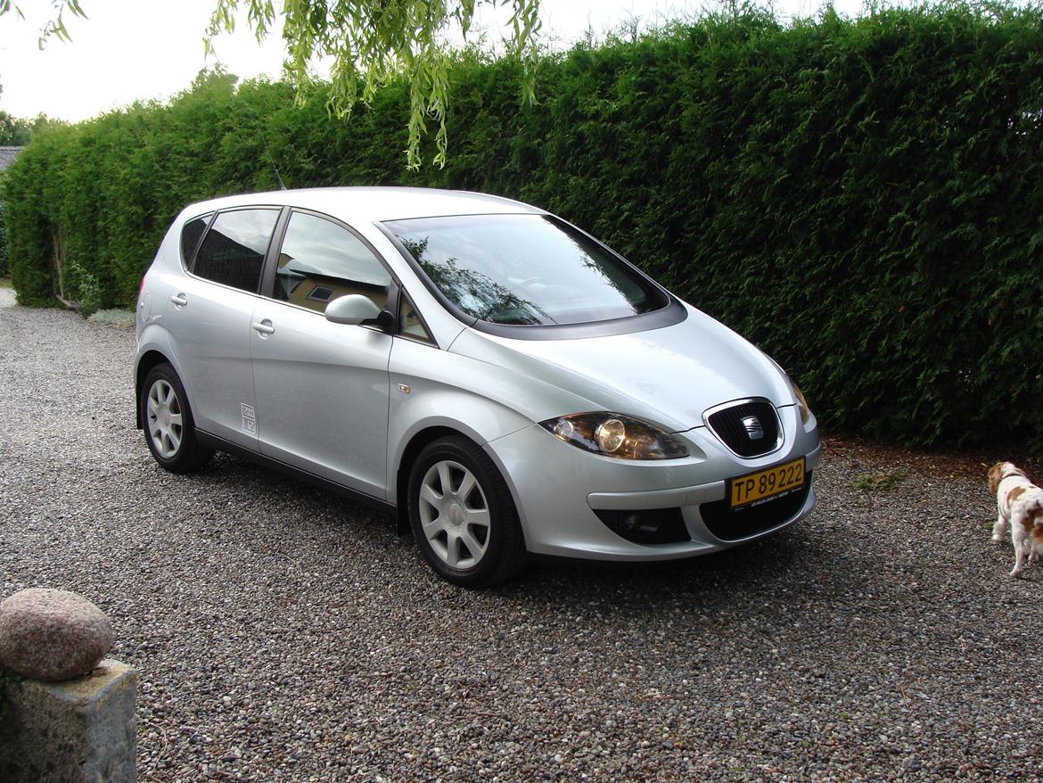 Seat Altea billede 1