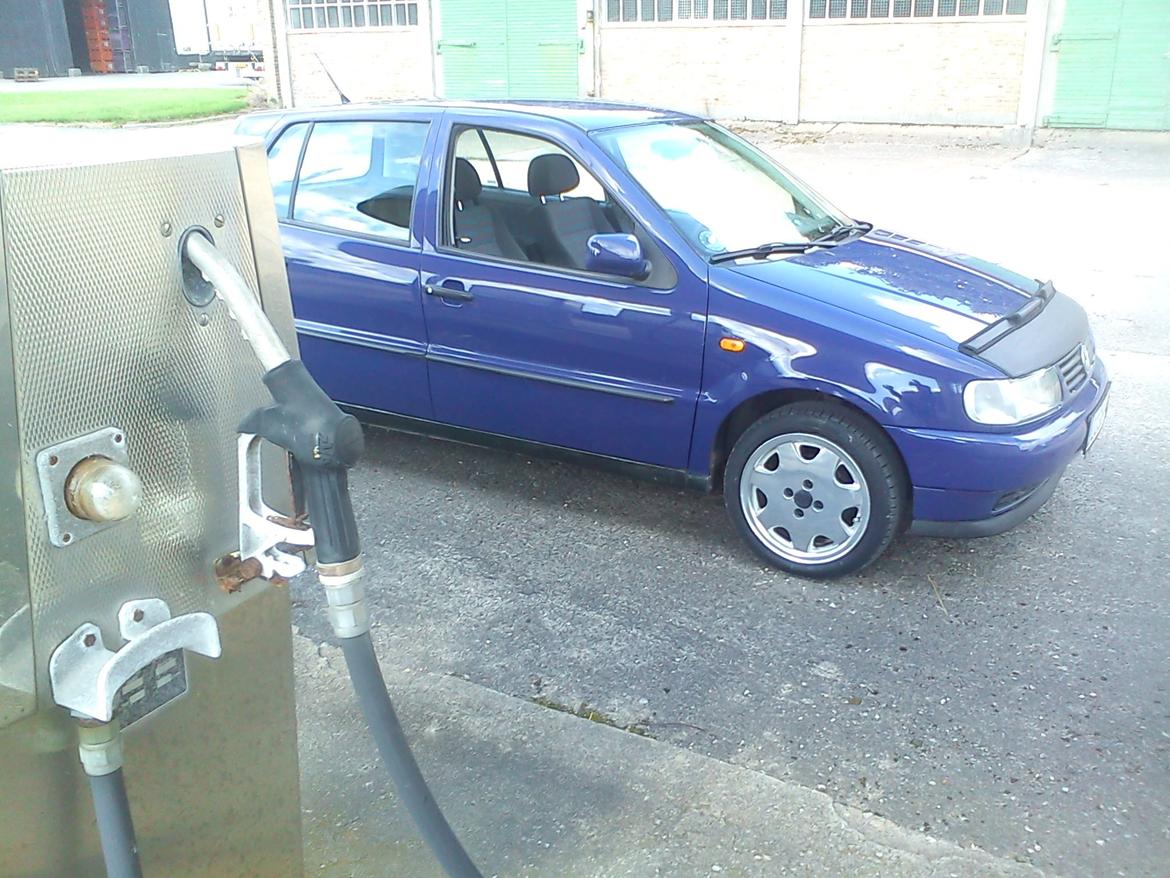 VW Polo 6N billede 5