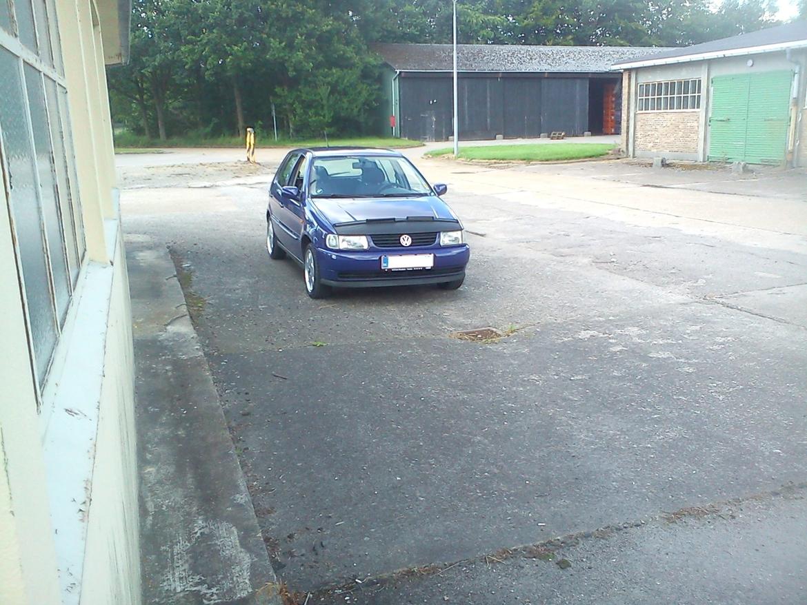 VW Polo 6N - Nu med Hoodbra. billede 1