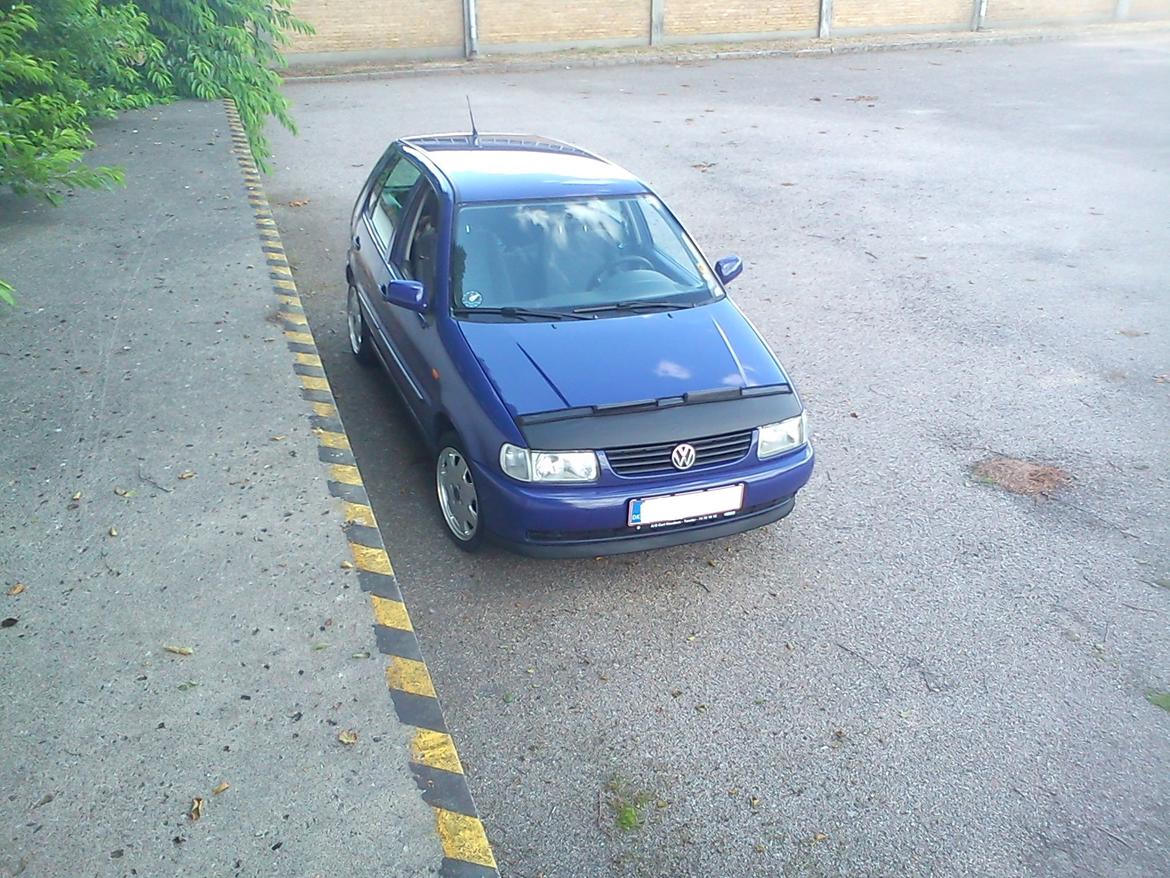 VW Polo 6N billede 14