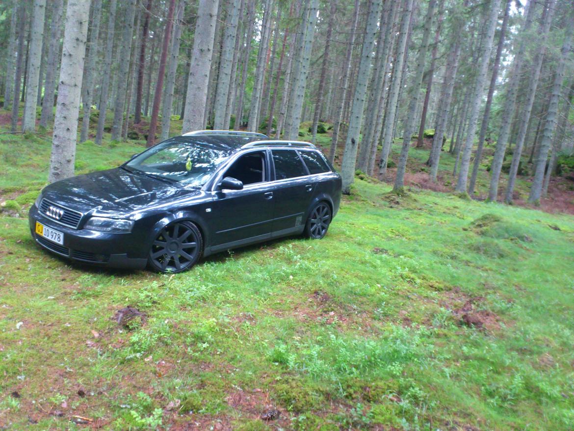 Audi A4 Avant 2,5 TDI V6 Quattro billede 7