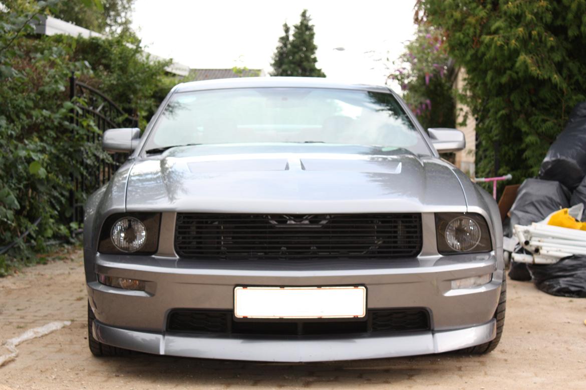 Ford Mustang GT billede 3