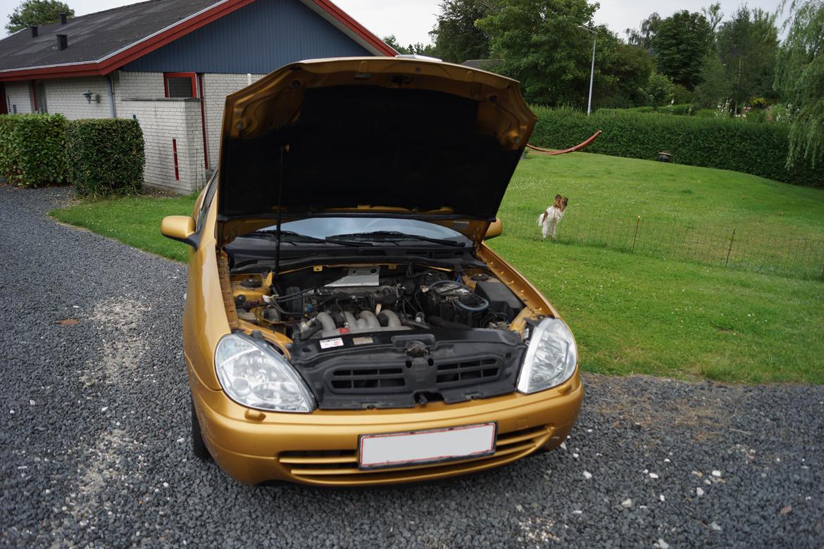 Citroën xsara vts billede 19