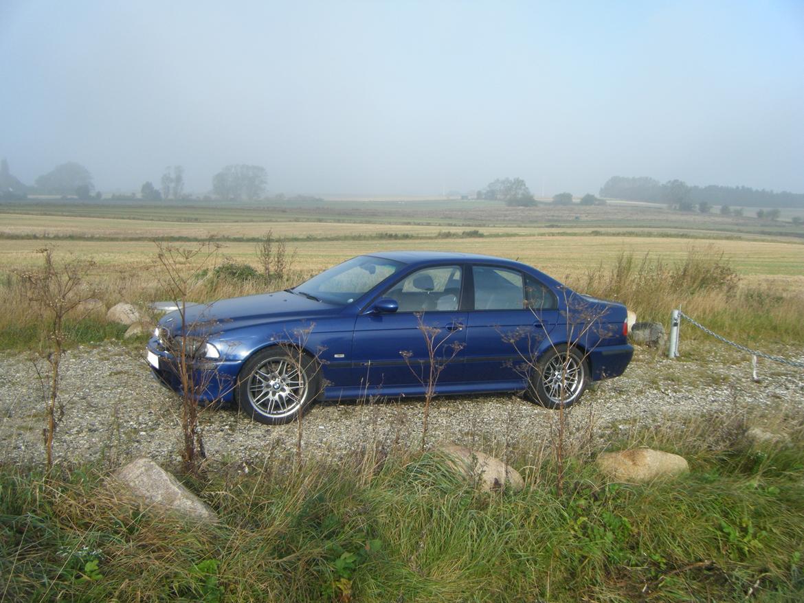 BMW e39 M5 billede 15