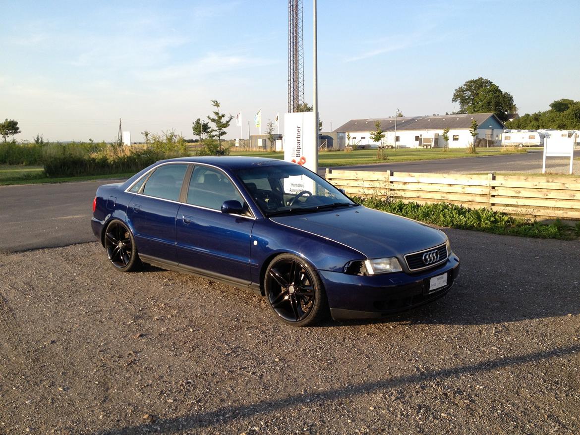 Audi A4 B5 billede 12