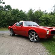 Pontiac Firebird Formula 400 "REAL ONE"