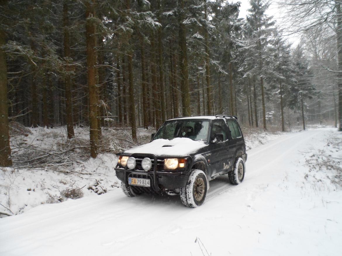 Mitsubishi Pajero billede 6