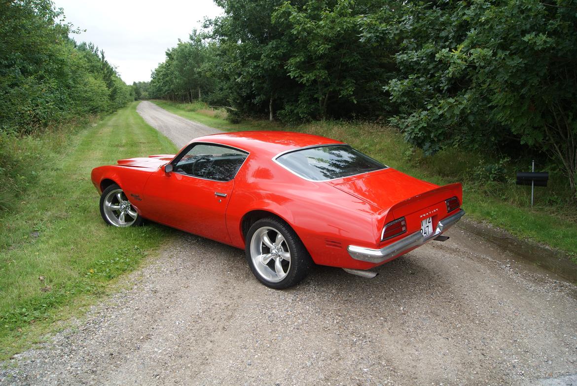 Pontiac Firebird Formula 400 "REAL ONE" billede 1