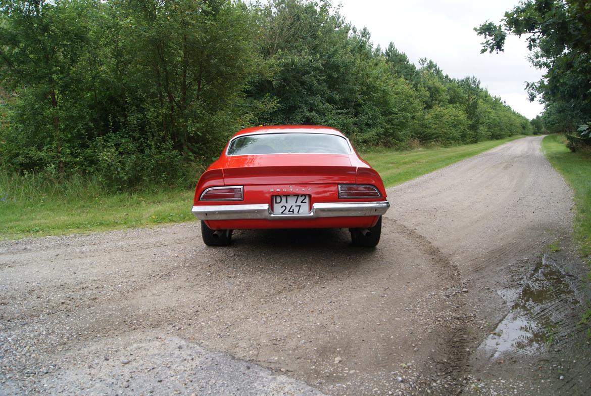 Pontiac Firebird Formula 400 "REAL ONE" billede 2