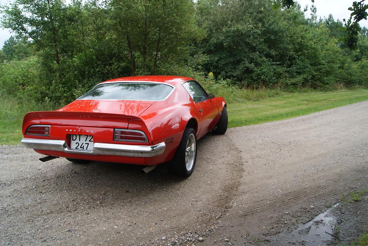 Pontiac Firebird Formula 400 "REAL ONE" billede 3