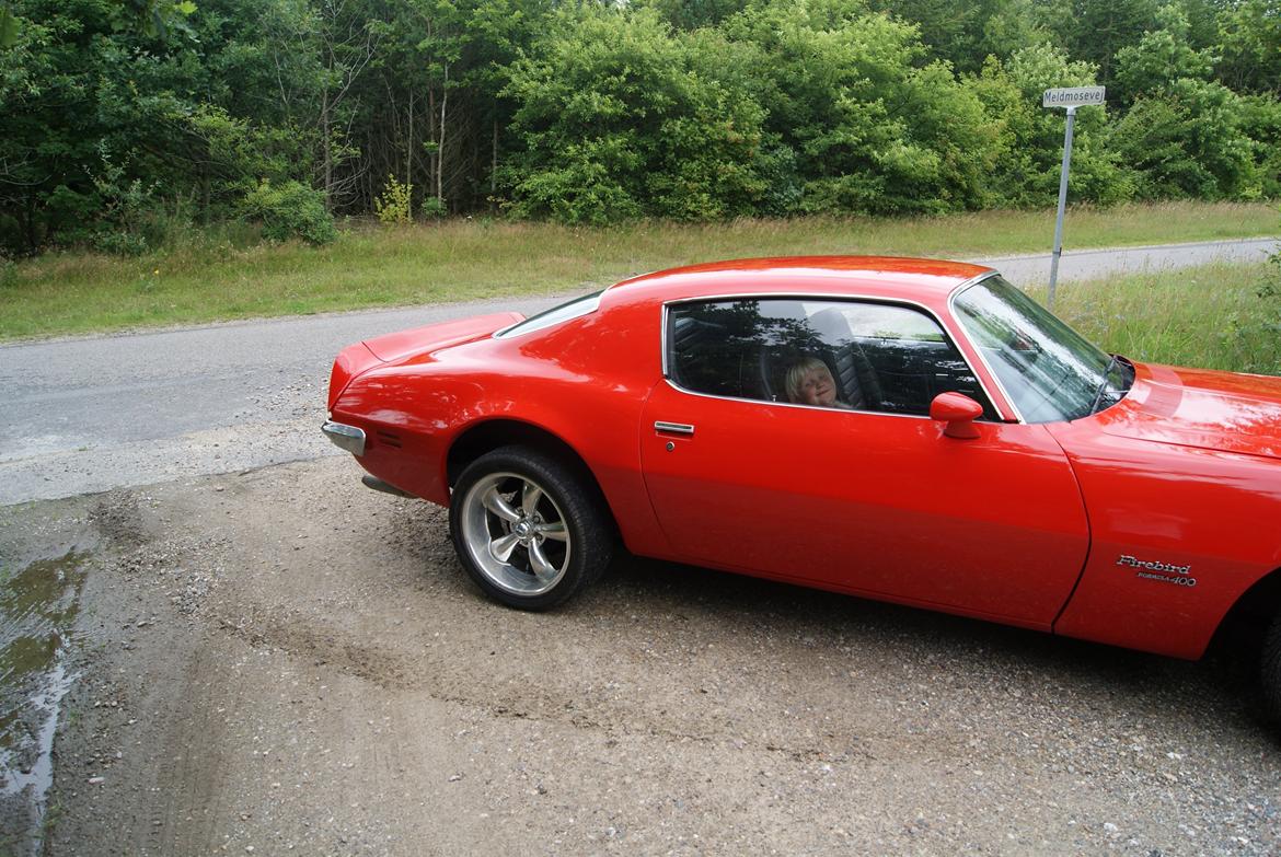 Pontiac Firebird Formula 400 "REAL ONE" billede 4