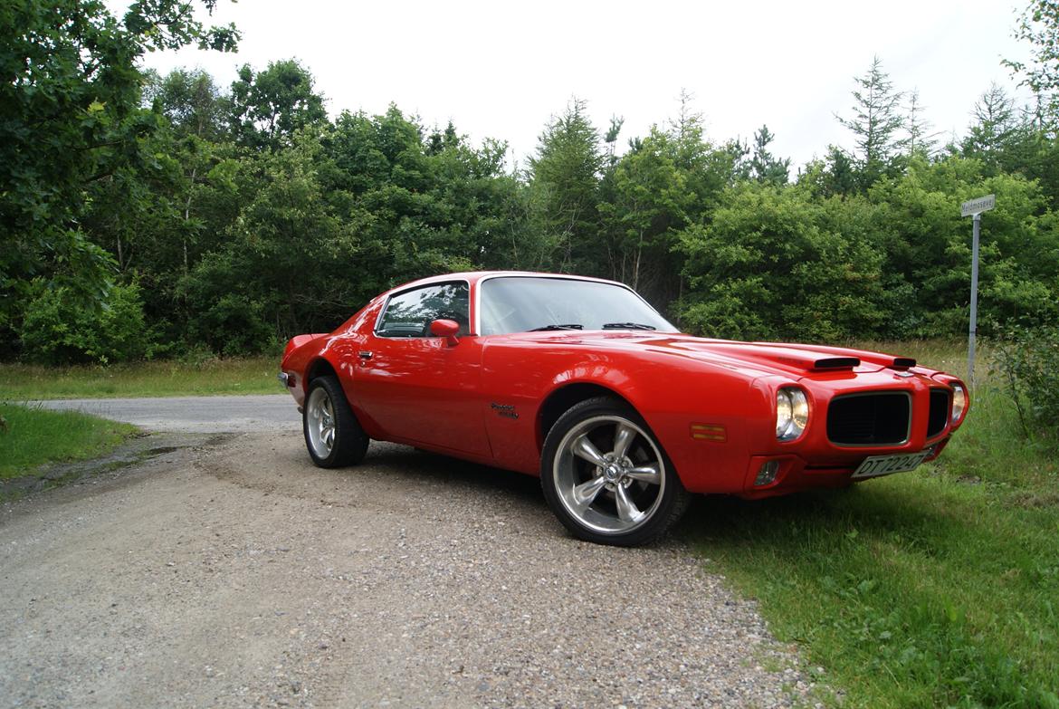 Pontiac Firebird Formula 400 "REAL ONE" billede 5