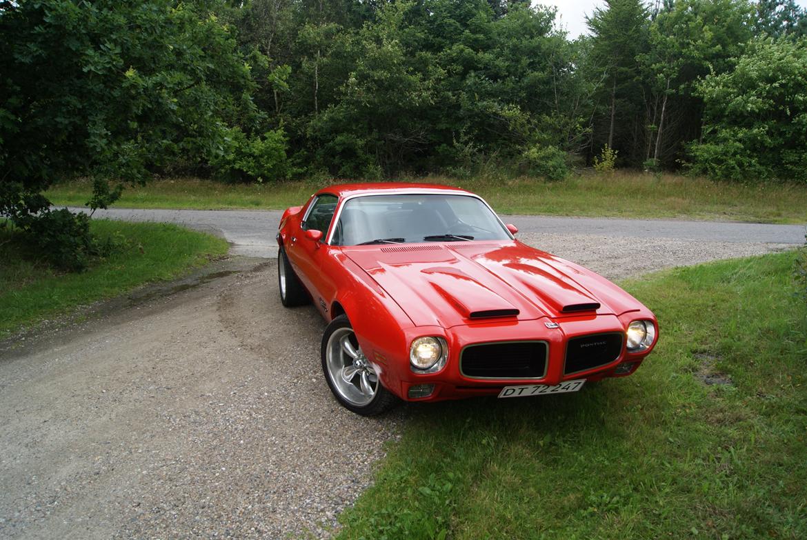 Pontiac Firebird Formula 400 "REAL ONE" billede 6