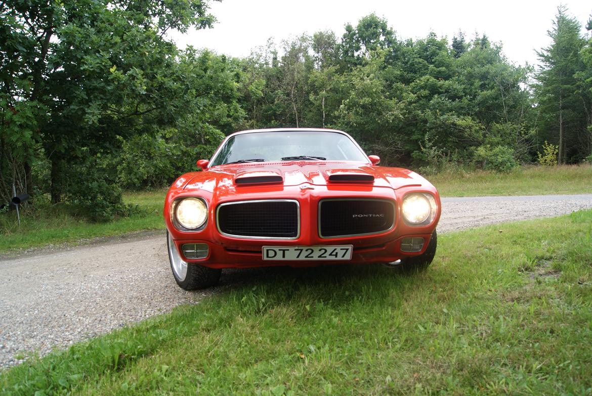 Pontiac Firebird Formula 400 "REAL ONE" billede 7