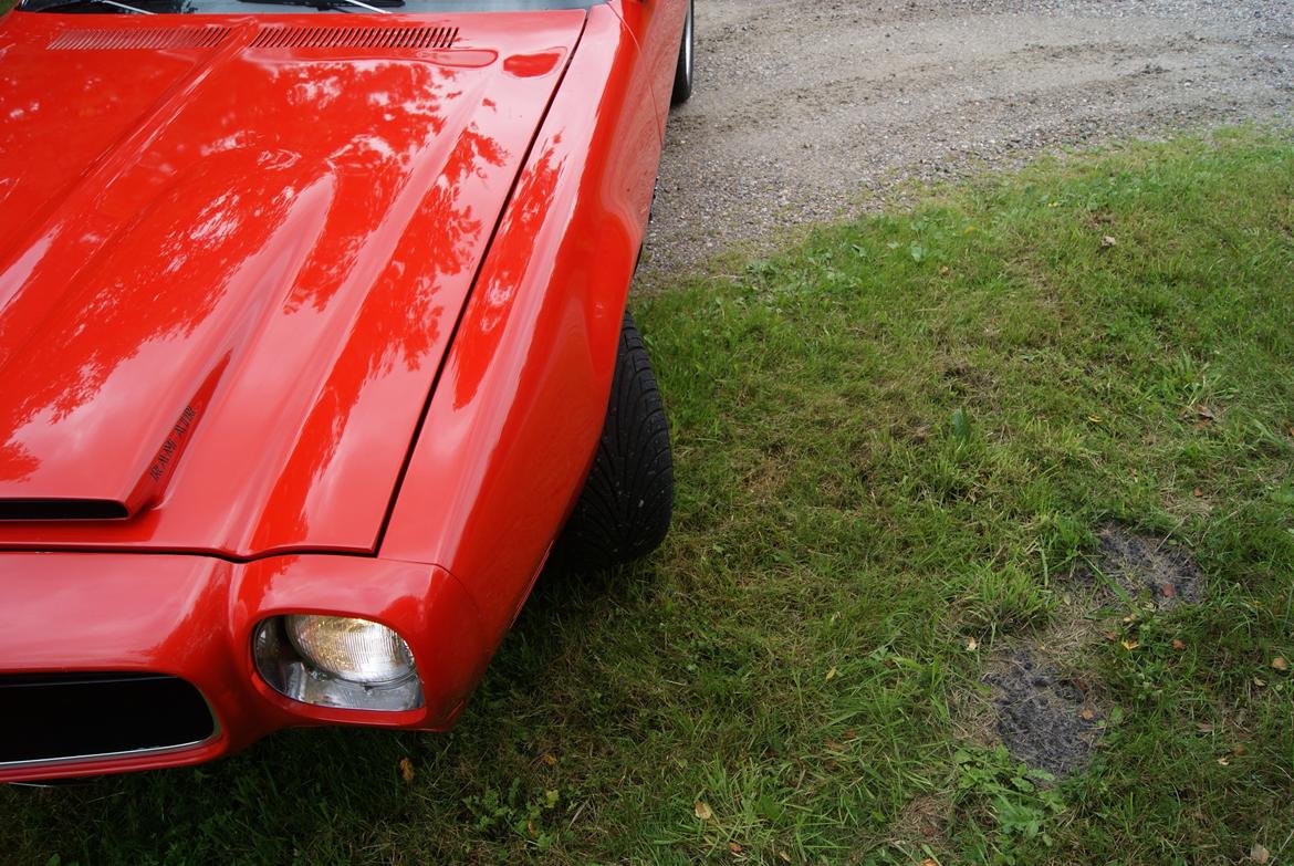 Pontiac Firebird Formula 400 "REAL ONE" billede 9